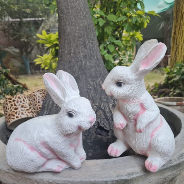 Rabbit Pair