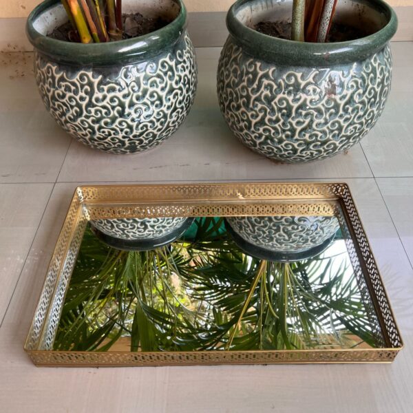 Mirror golden finish long size tray*