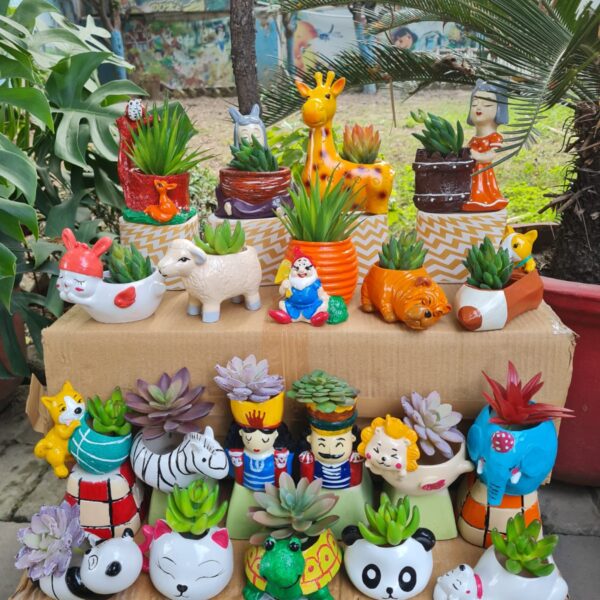 Mix 20 pcs Planters Combo