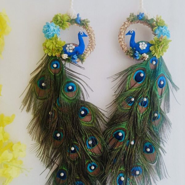 New design in peacock hanging with long tail look