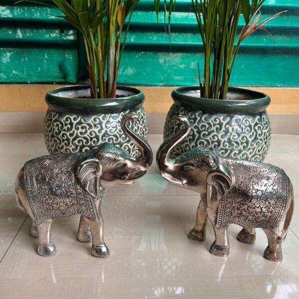 Giant elephants*