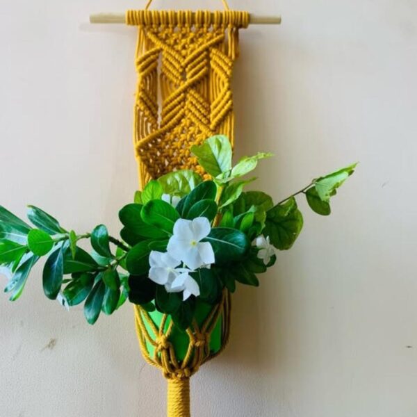 Macrame Plant hanger