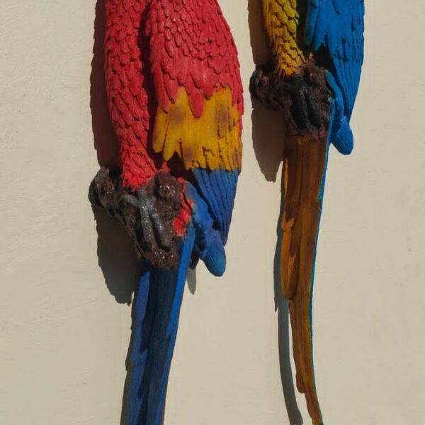 Wall Macaw parrot