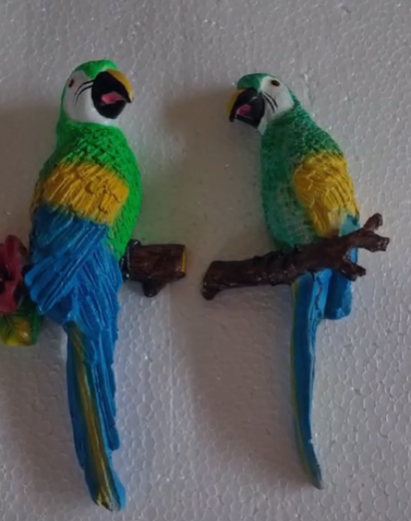🥳🤩 FLOWER WALL PARROT 🤩🥳