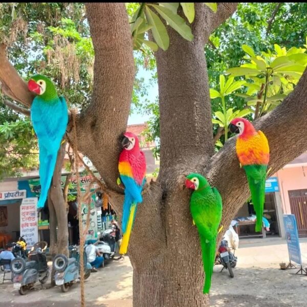 Wall parrot