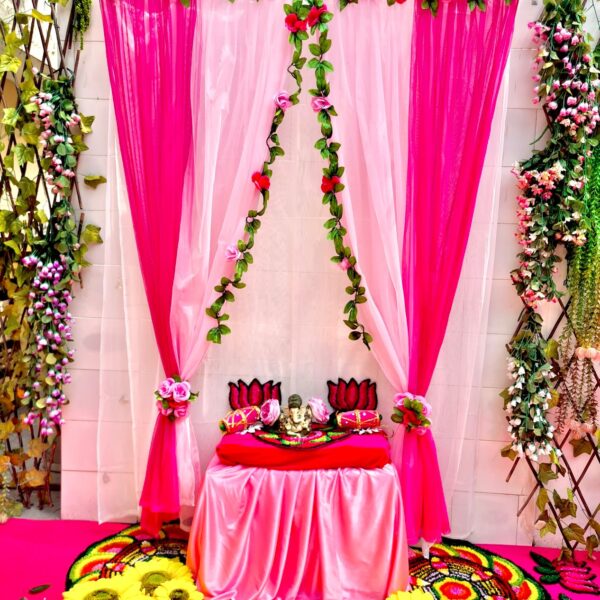 Magenta Panel Curtain Backdrop✨🌹
