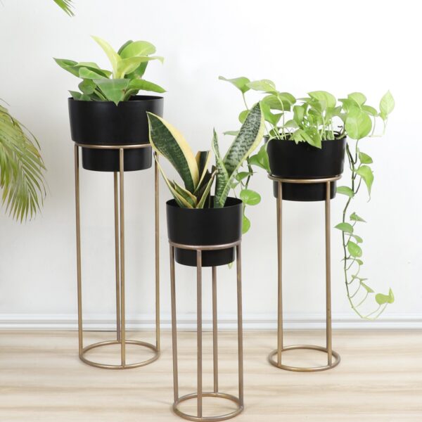 Big Pot Planter Set of 3 - Design 1