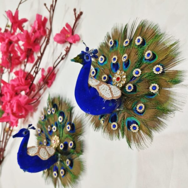 BEAUTIFUL PEACOCK SETUP